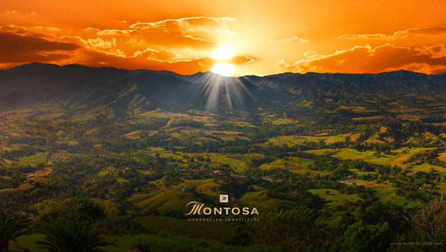 Montosa Wallpaper 1